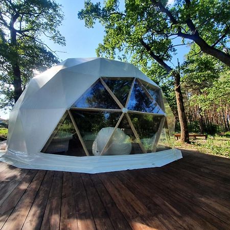 У Дачі Для Своїх Konuk evi Novyye Bezradichi Dış mekan fotoğraf